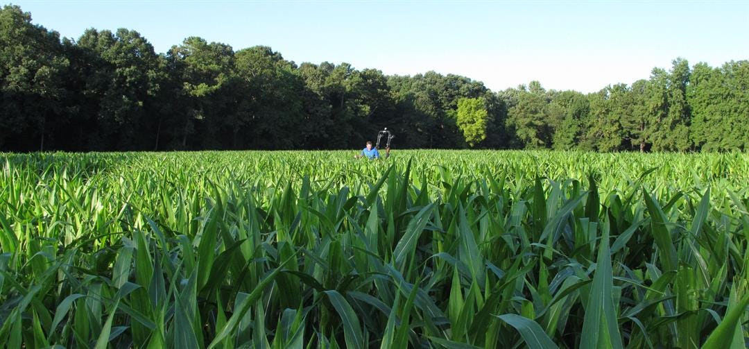 Article 29829 Thumbnail