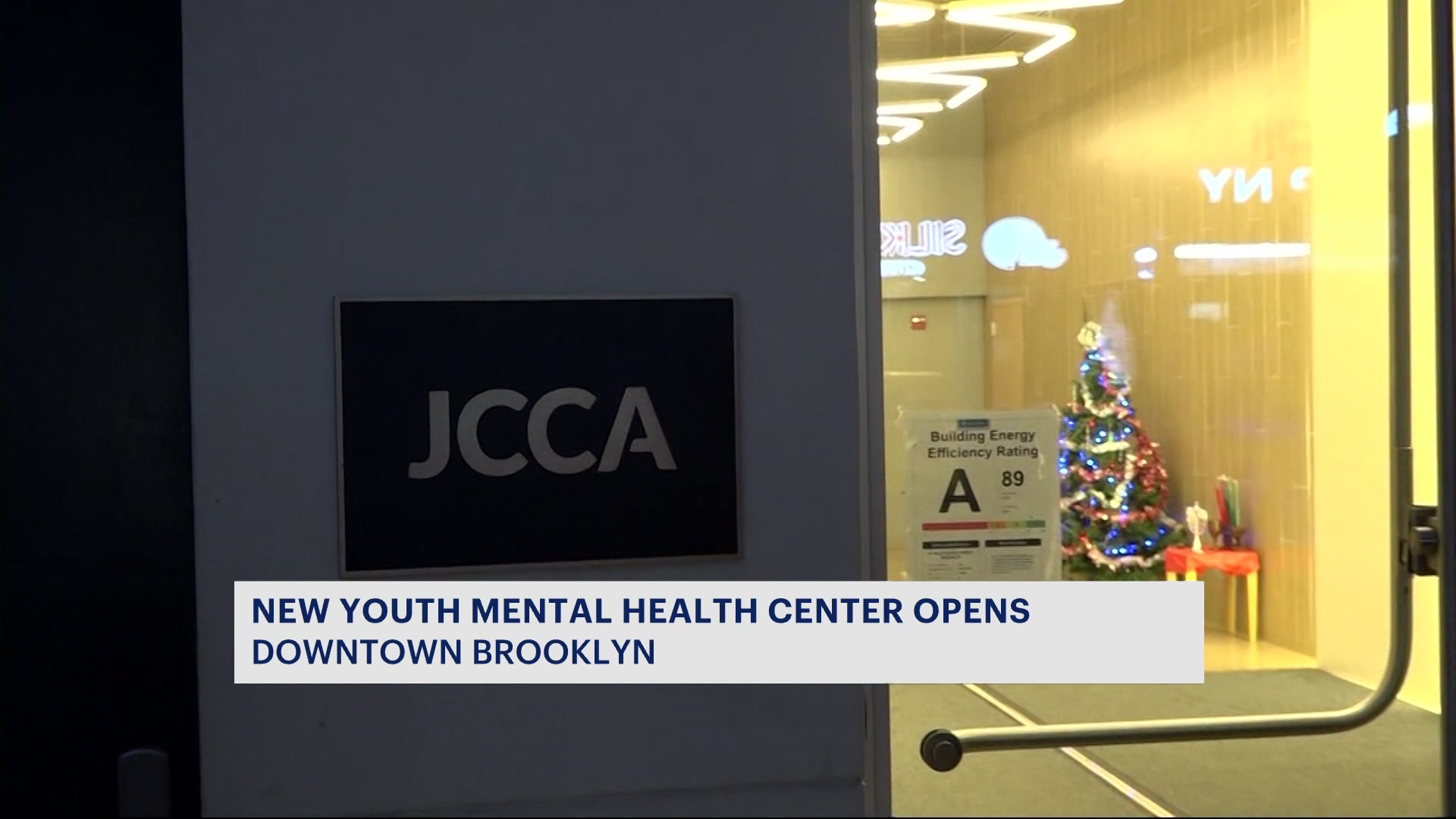 News 12 | Brooklyn | New Youth Mental Health Clinic Opens Its Doors In ...