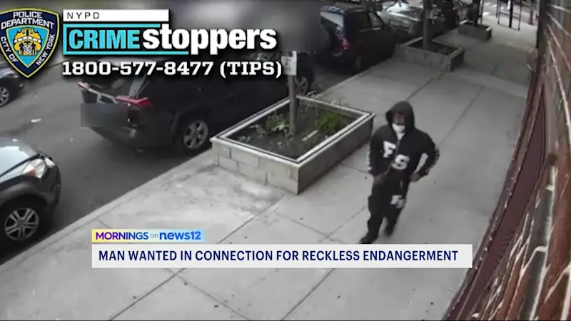 Story image: Gunshots fired on East 209th Street, suspect flees