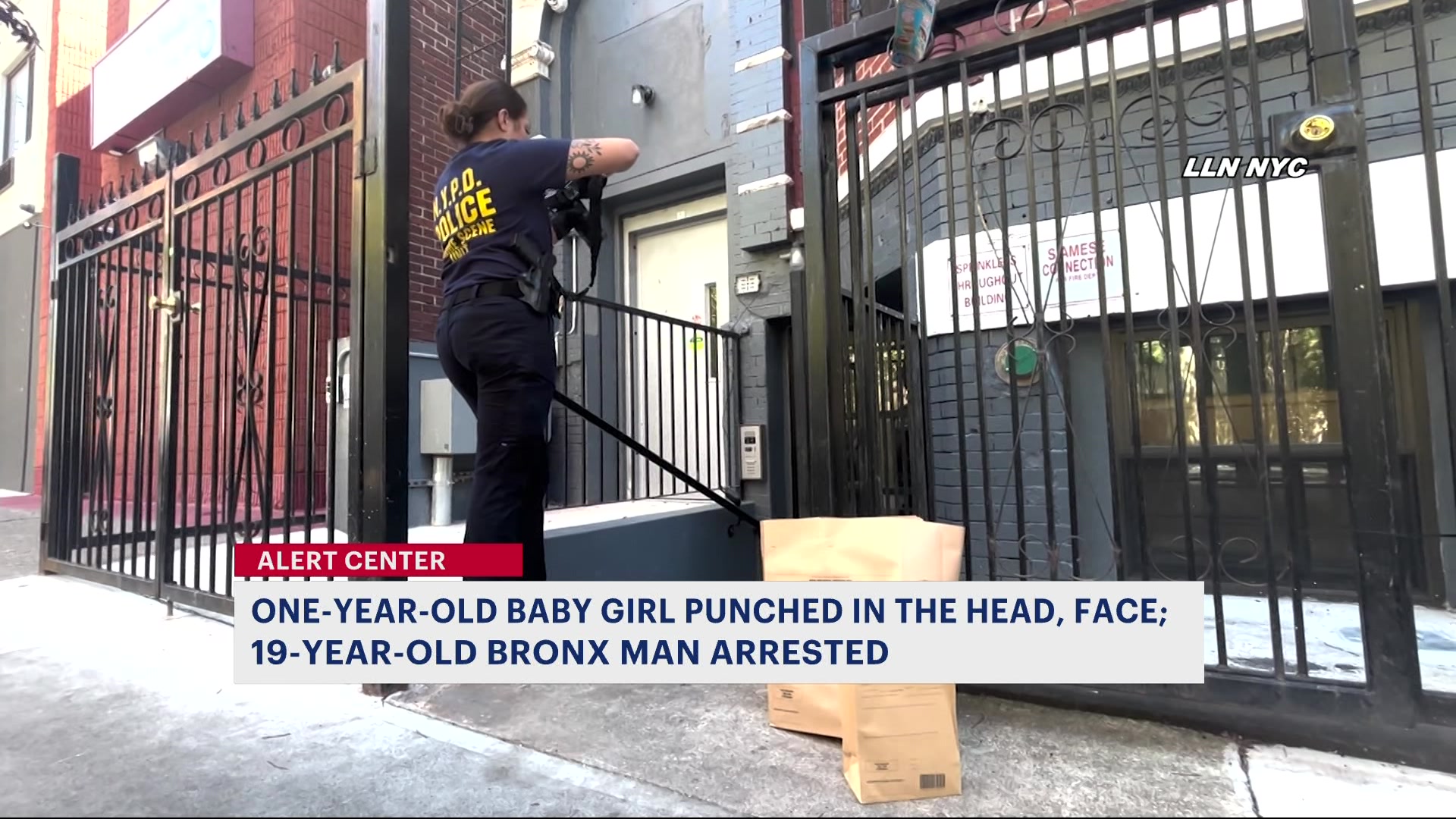 News 12 | Bronx | 1 Year Old Baby Girl Assaulted In Melrose 19 Year Old ...