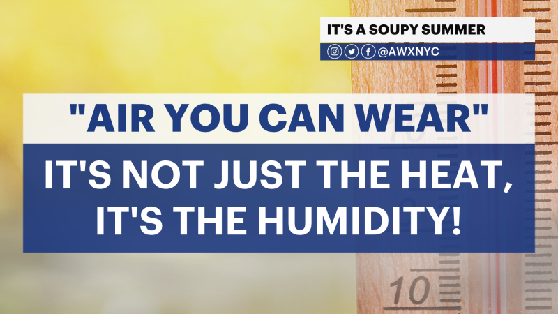 Story image: SOUPY SUMMER: How high humidity has impacted this summer so far