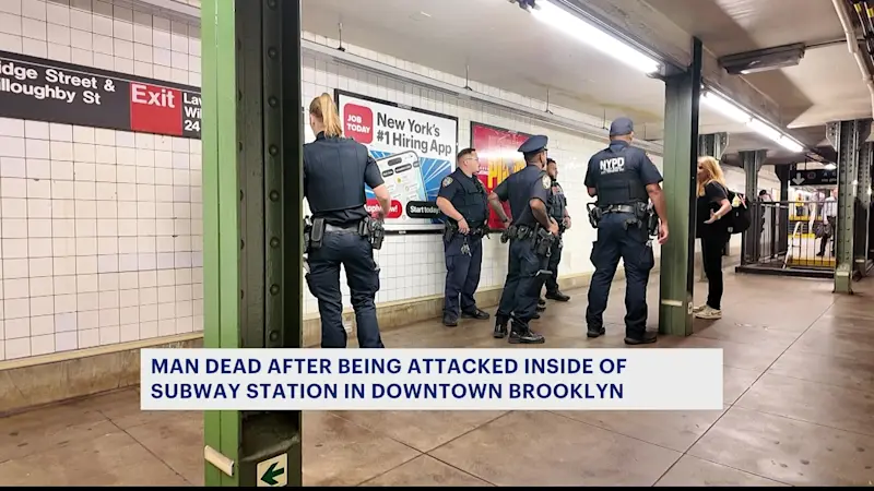 Story image: Suspect in custody for homicide at Jay Street–MetroTech station, police say