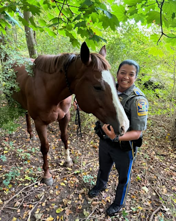Story image: Troopers rescue horse found wandering near Route 15