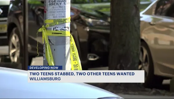 Authorities: 2 teen suspects wanted in connection to Williamsburg stabbing