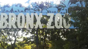 Field Trip Friday: National Zoo and Aquarium Month