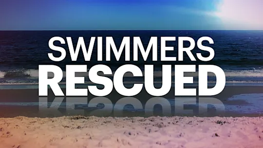 swimmers rescued