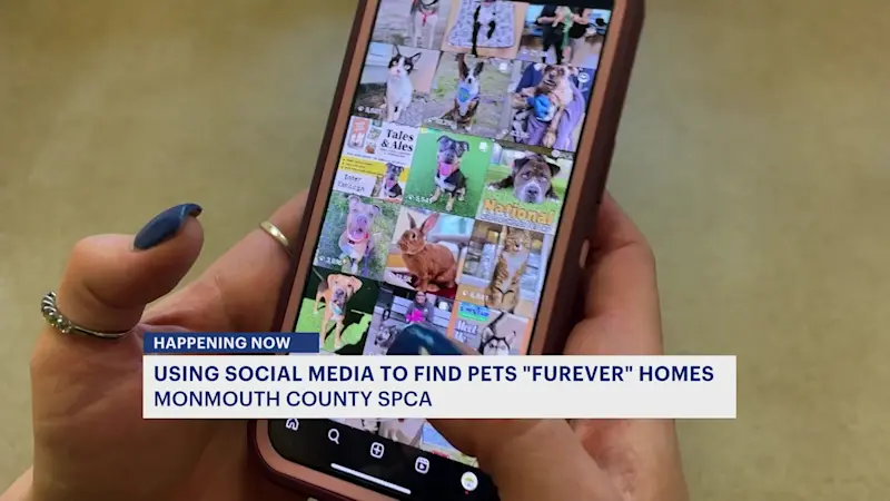 Story image: How Monmouth County SPCA uses social media to help animals find fur-ever homes
