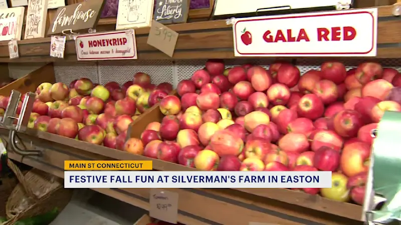 Story image: Main Street Connecticut: Showcasing Silverman's Farm in Easton