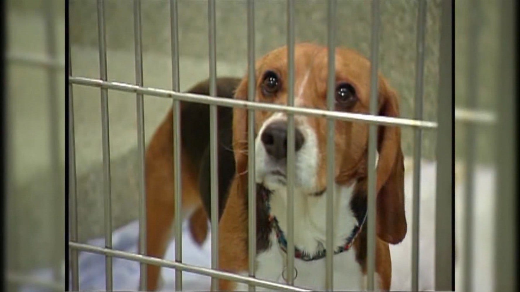 Article 107028 Thumbnail