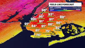 HEAT ALERT: Hazy conditions in Brooklyn as temperatures approach 90s