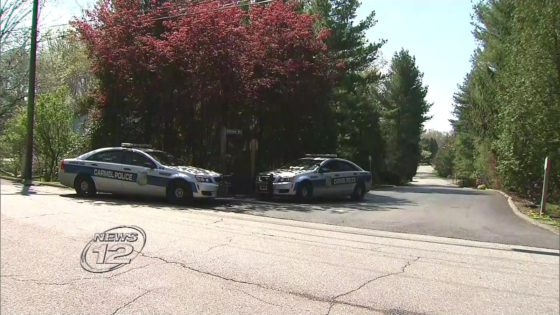 Article 115965 Thumbnail