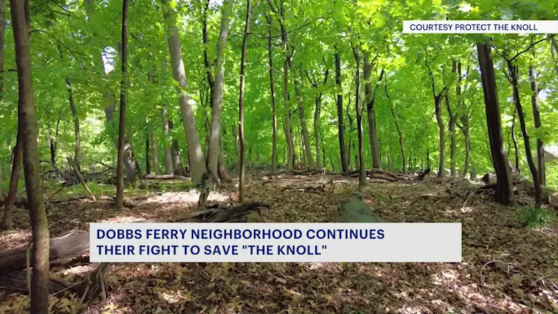 Story image: Dobbs Ferry neighbors continue to try to protect area near nature preserve, developers try to push forward