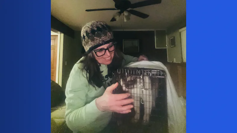 catrescue2.png