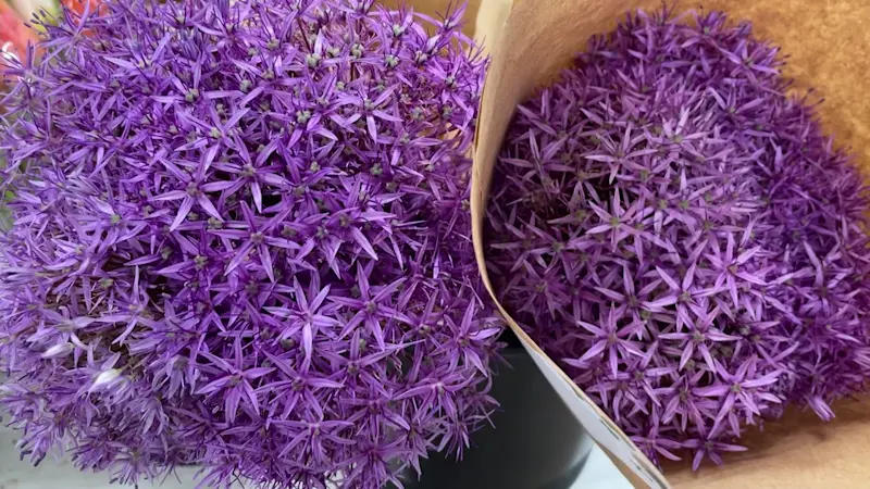 Story image: Shop locally from over 25 farms at The Connecticut Flower Collective