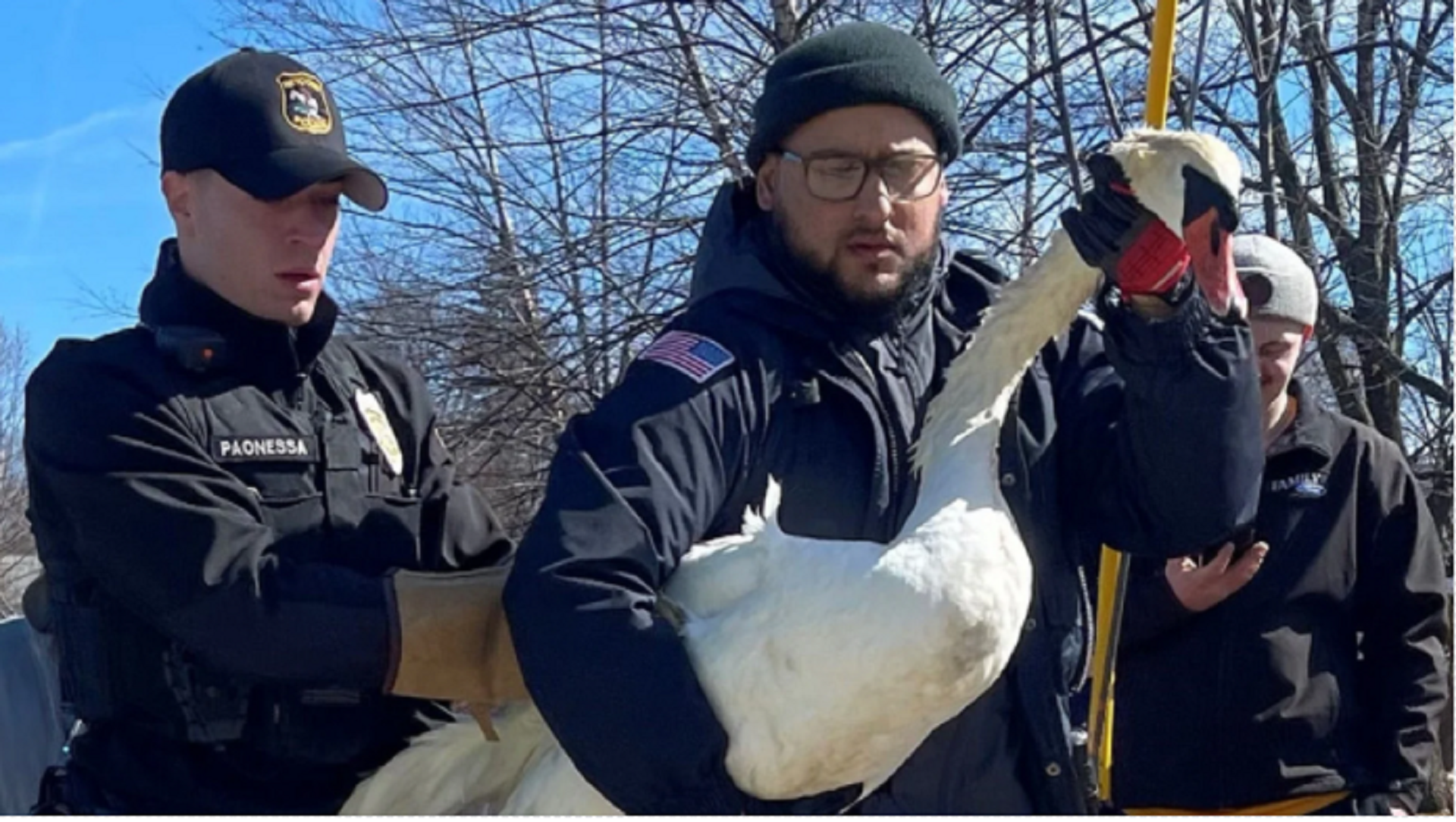 Article 286790 Hero Image