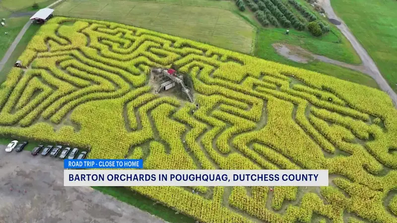 Story image: Road Trip Close To Home: Corn maze, haunted house and apple picking await at Barton Orchards