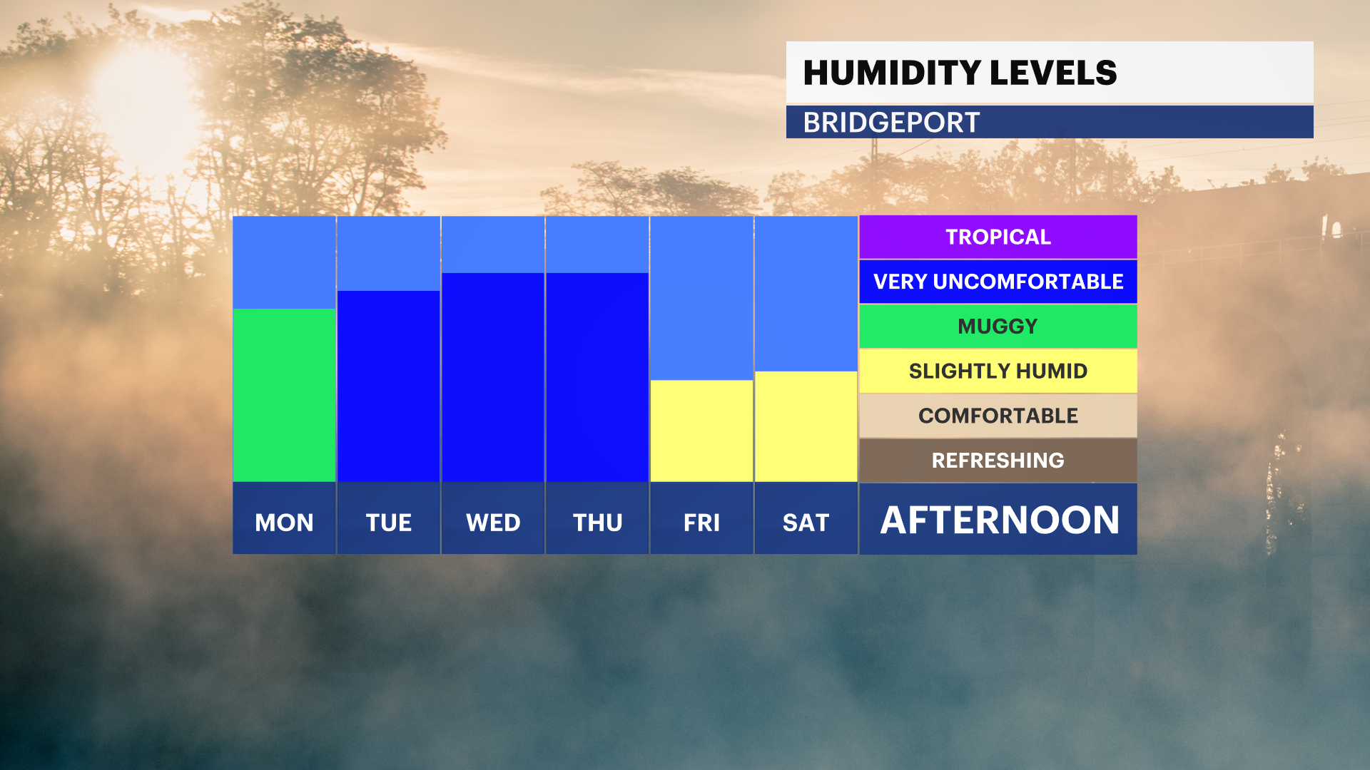 CT Sun 07212024 Dewpoint_Daily.png