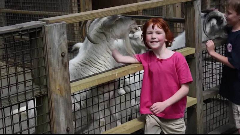 Story image: Animal sanctuary in memory of Sandy Hook victim celebrates new chapter