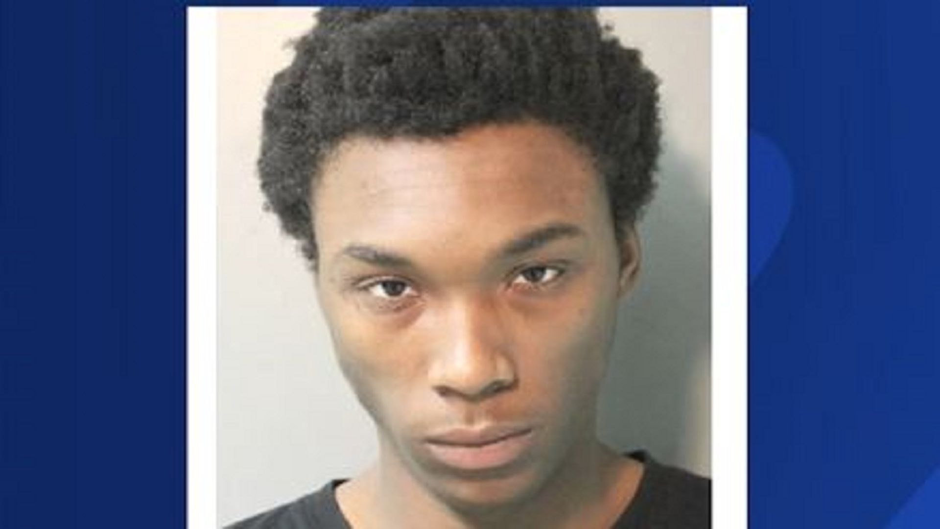 Police Queens man arrested for carjacking woman at gunpoint Williston Park