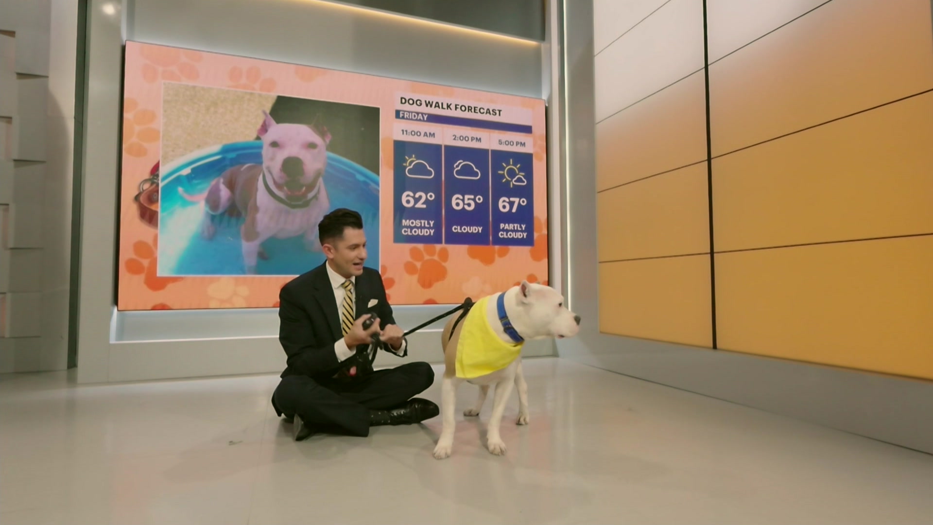 PawsAndPals0515NJTA_2026-05-15-08-42-01