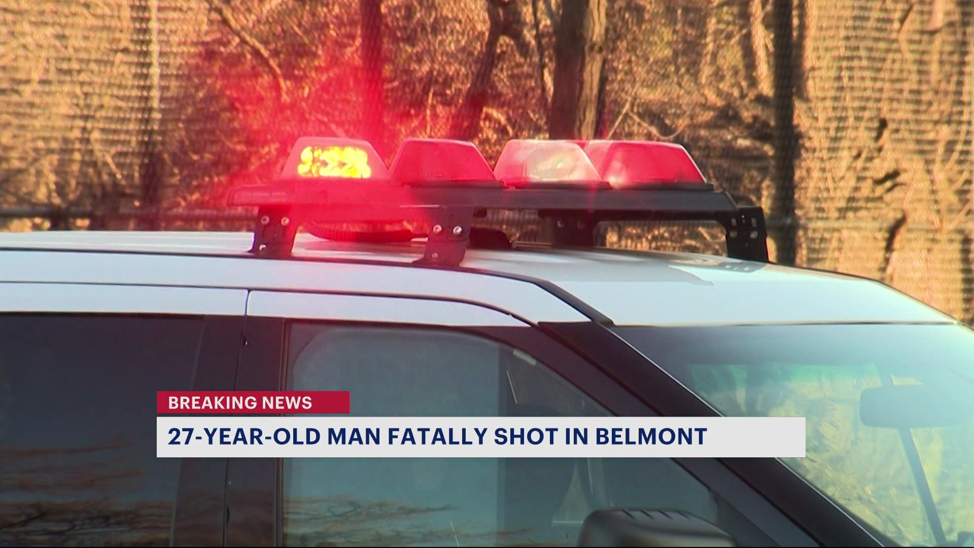 News 12 | Bronx | Nypd 27 Year Old Man Fatally Shot Near Bronx Zoo Entrance