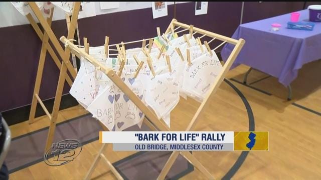 Article 108932 Thumbnail