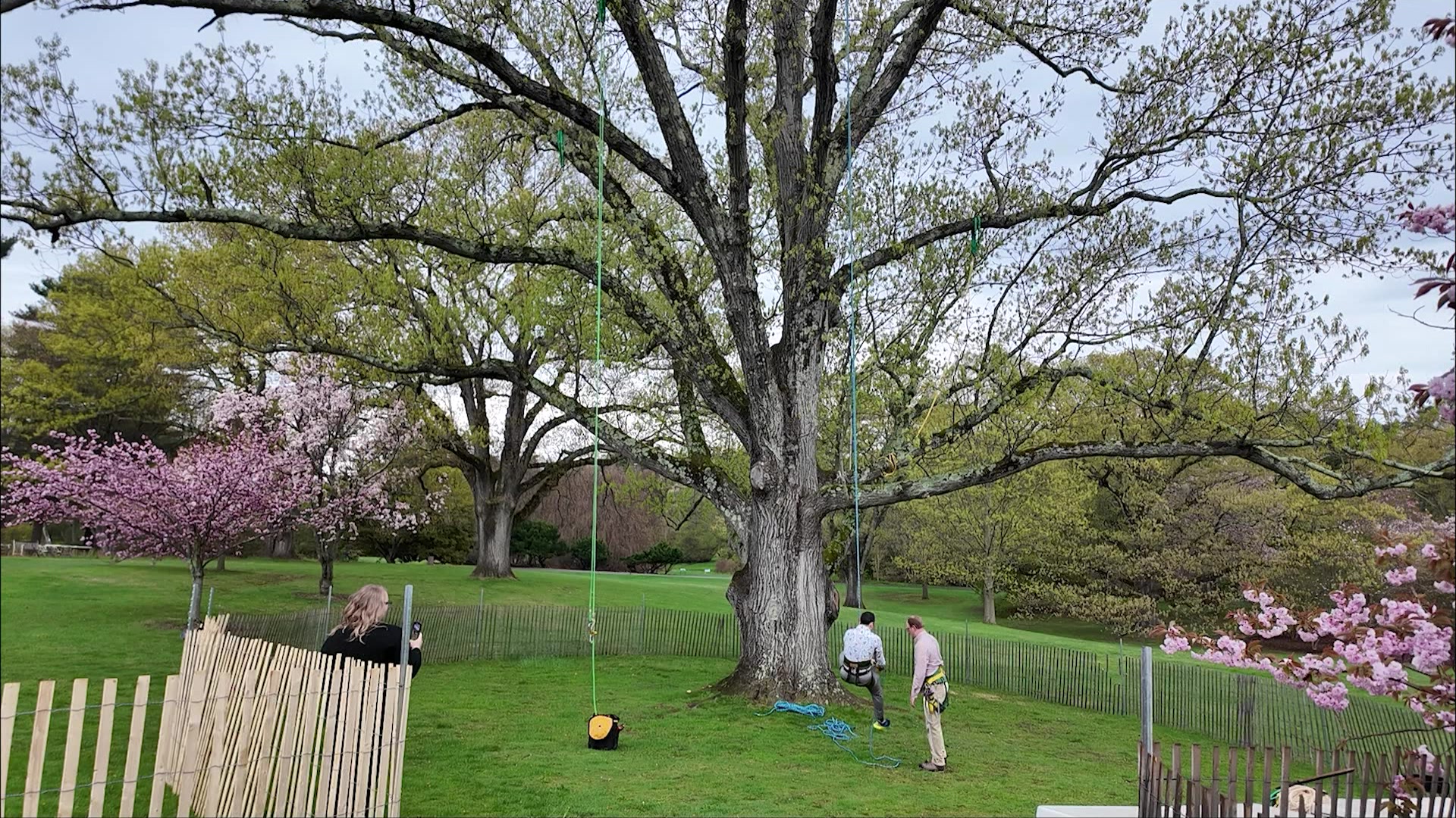 422oysterbay_2026-04-22-12-29-33