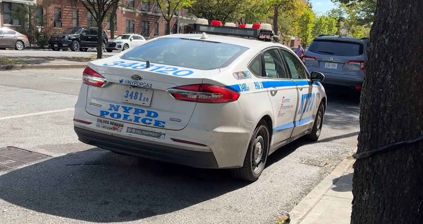 brooklyn.news12.com