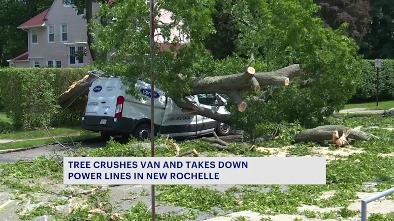 Story image: Power restored for most of Con Edison customers in New Rochelle left in dark after tree fell