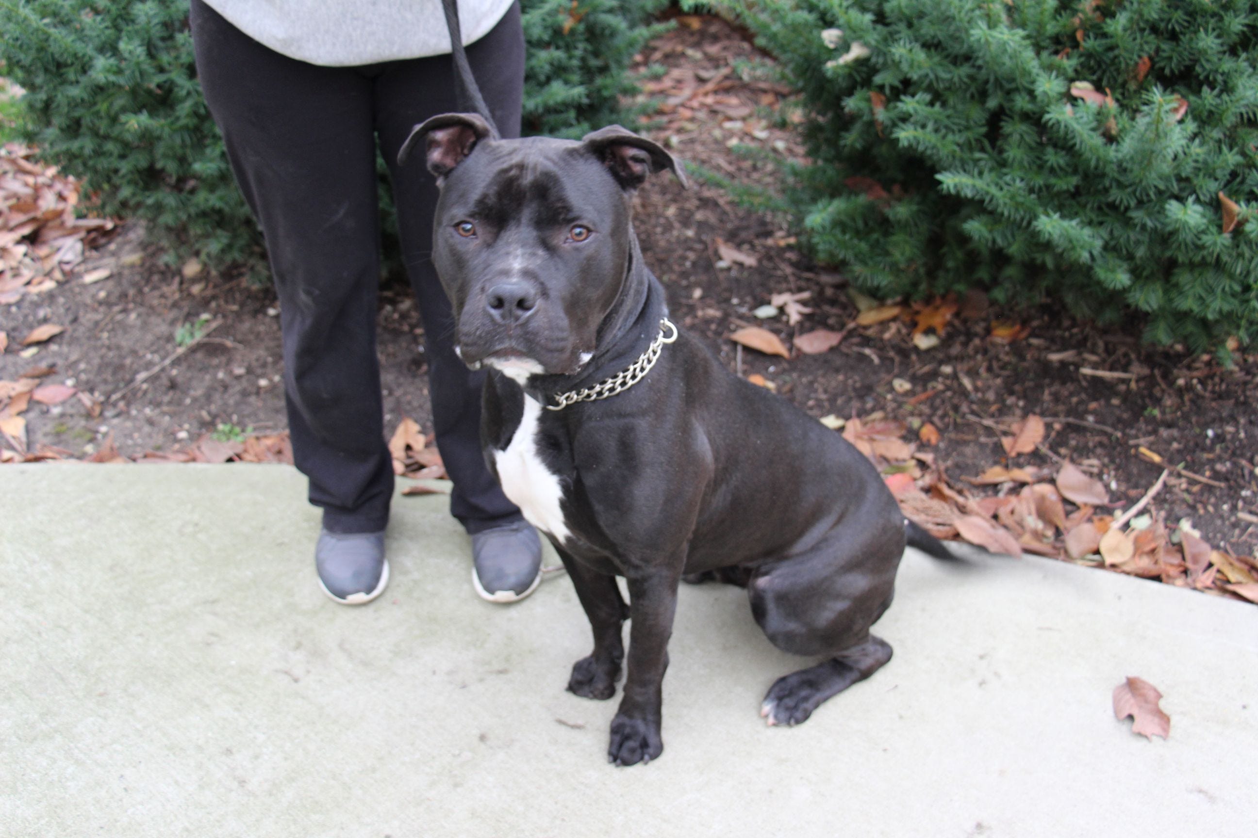 Article 18890 Thumbnail