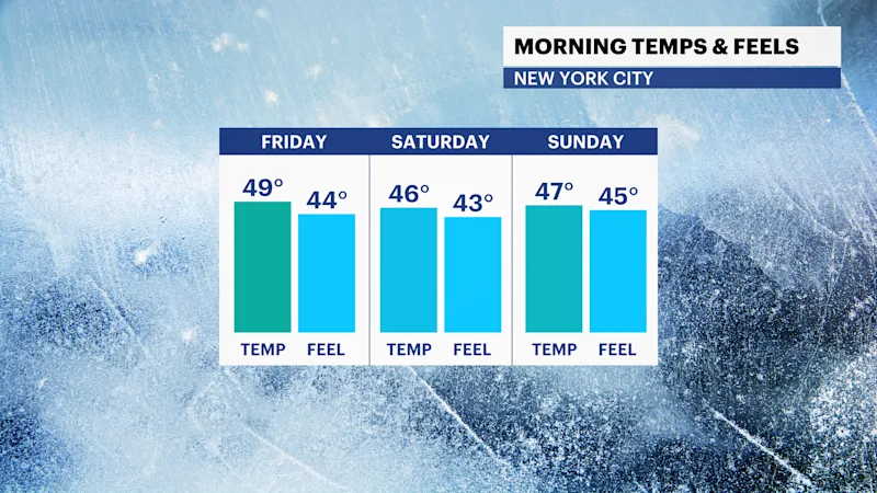 NYC_FB_Temp_Feel.png