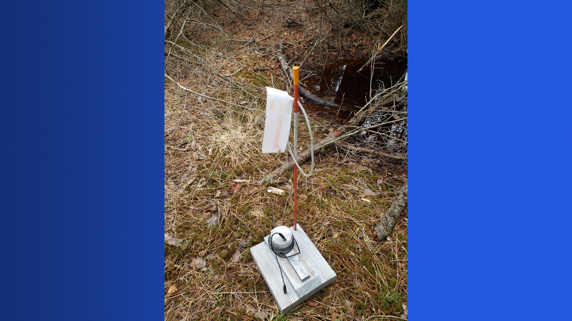 Article 258563 Hero Image