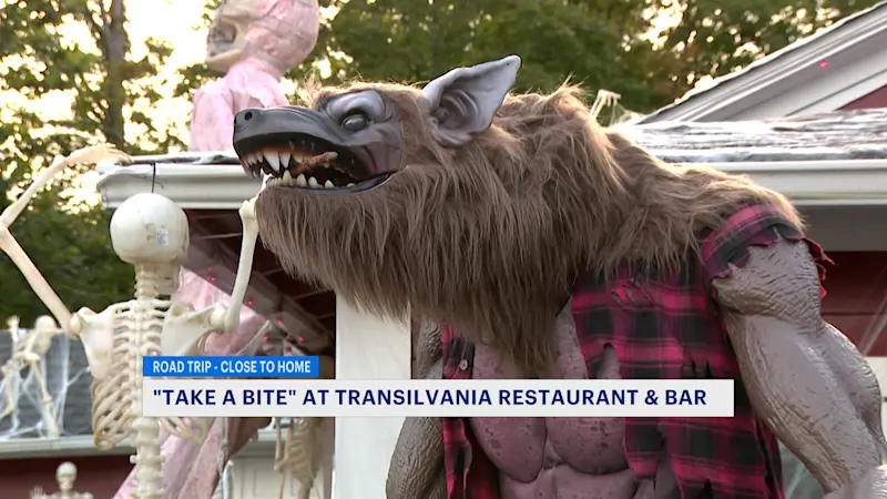 Story image: 'Take a bite' at Transilvania Restaurant & Bar