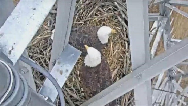 Article 34724 Thumbnail