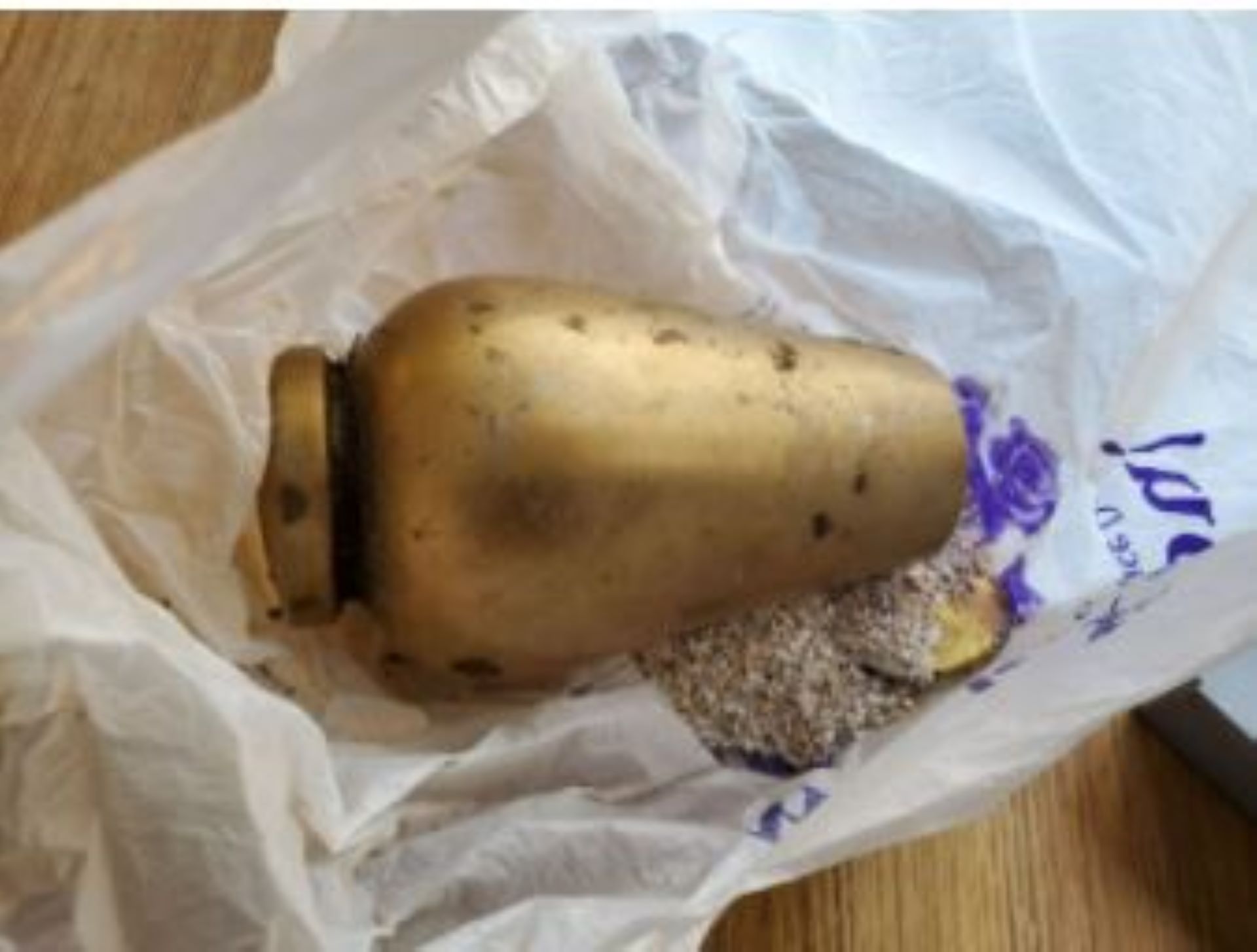 Article 287787 Hero Image