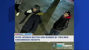 Police: 2 men wanted for violently robbing woman in Kingsbridge Heights