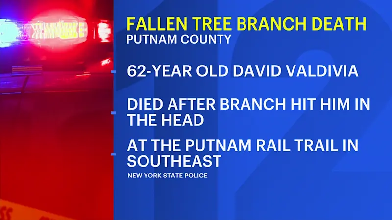 Story image: Falling branch kills man walking on Putnam Rail Trail in Southeast