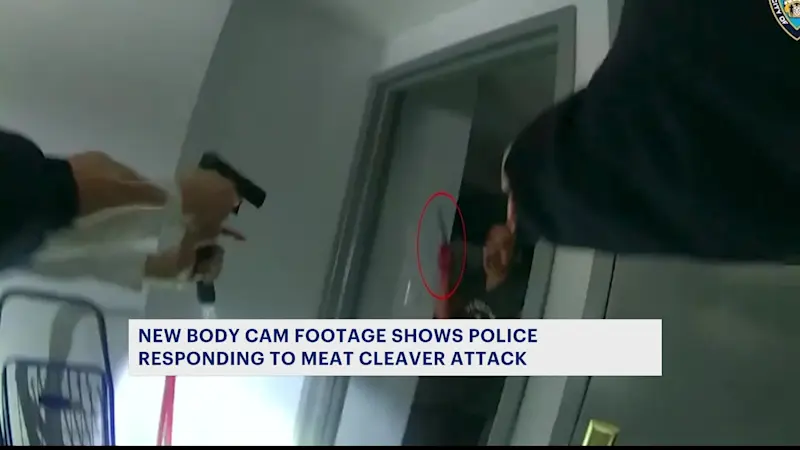 Story image: NYPD releases body camera footage of man accused of slashing his 4 nieces in Bensonhurst