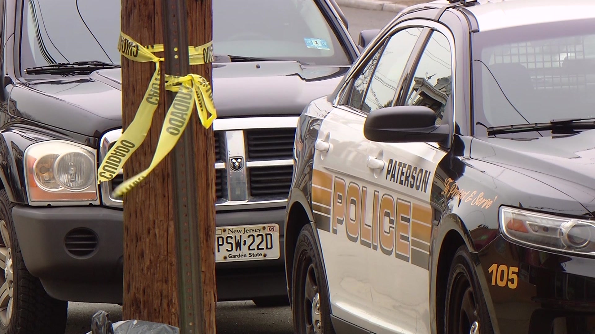 Article 262225 Thumbnail