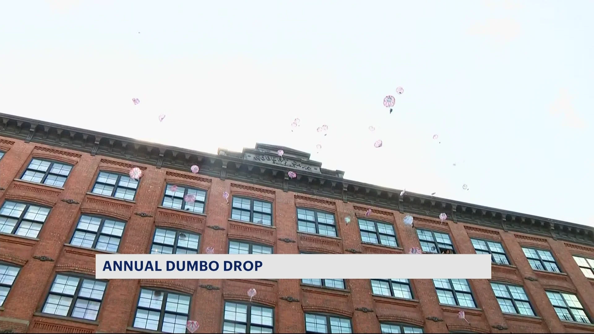 Annual 'Elephant Drop' attracts thousands in Dumbo