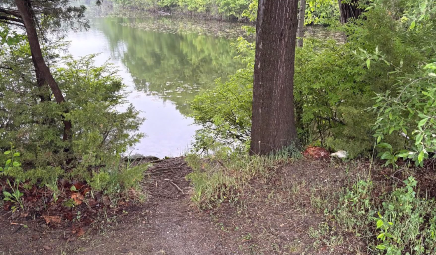 Mutilated Birds Putnam County