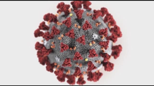 Article 22434 Thumbnail