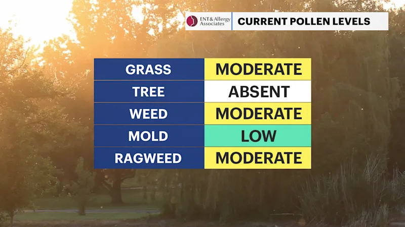 HVAG C_Pollen 7.png
