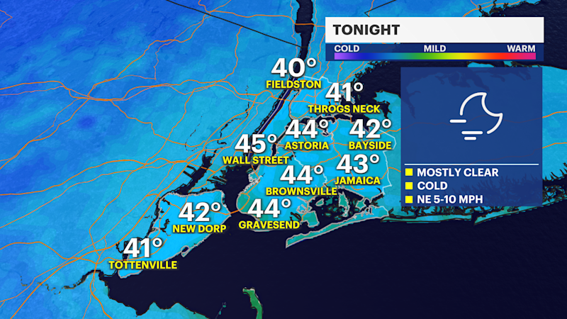 Story image: Frosty nights ahead before a potential storm system in The Bronx