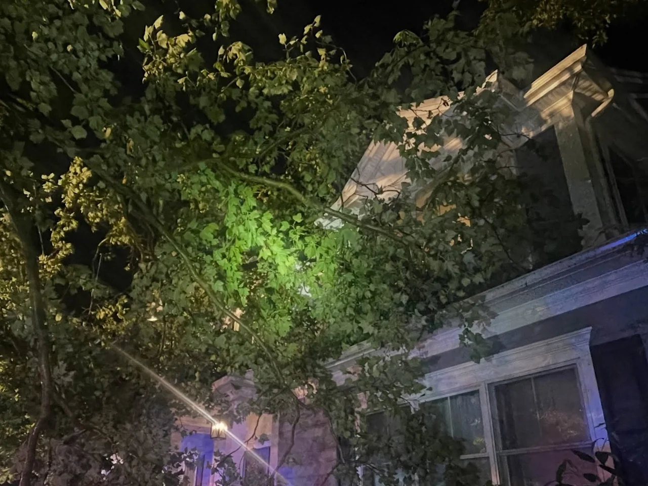 Wyckoff tree vs house