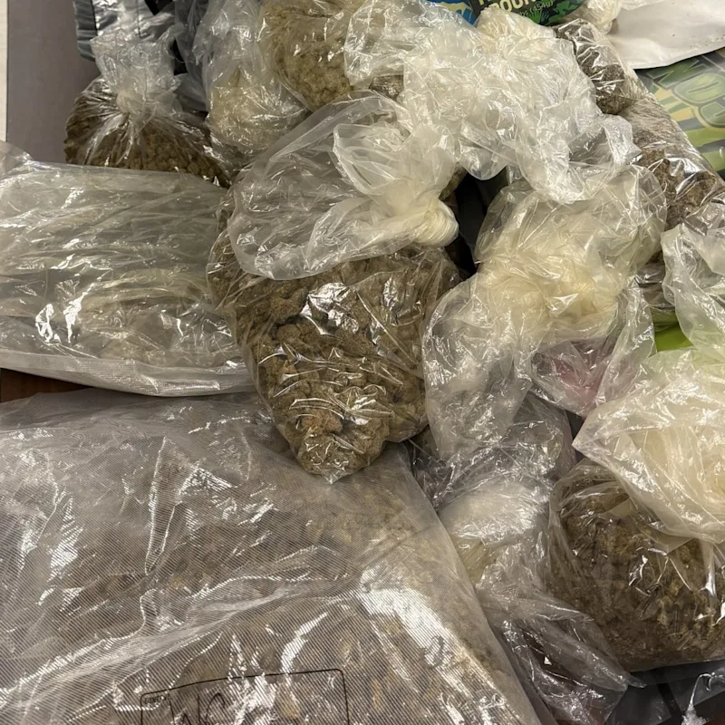 East Orange Marijuana Crackdown 1.png