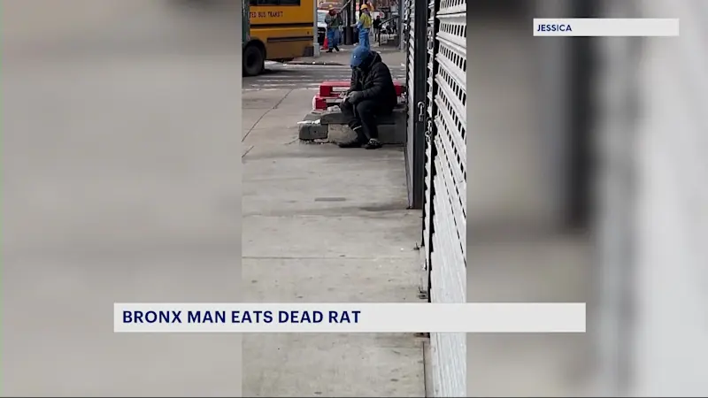 Story image: Viral video shows man eating rat in the Bronx