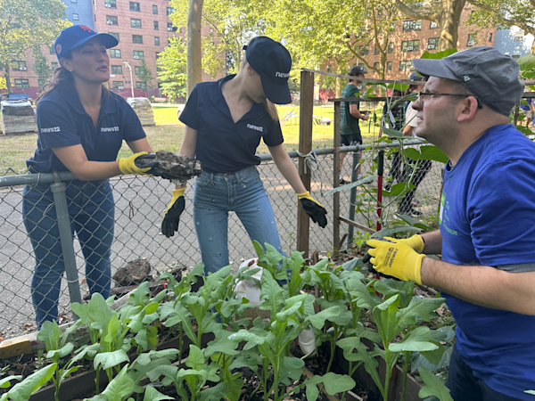 Story image: News 12, Optimum joins Rebuilding Together NYC's She Builds to overhaul community garden at NYCHA Complex
