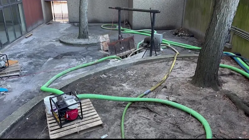 Story image: 'It’s absolutely horrible.' East Flatbush residents fed up over constant sewage flooding in apartment building