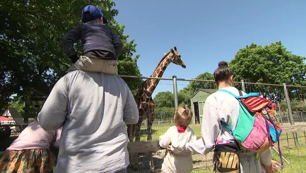 Long Island Game Farm responds to USDA report on Bobo the giraffe's cause of death